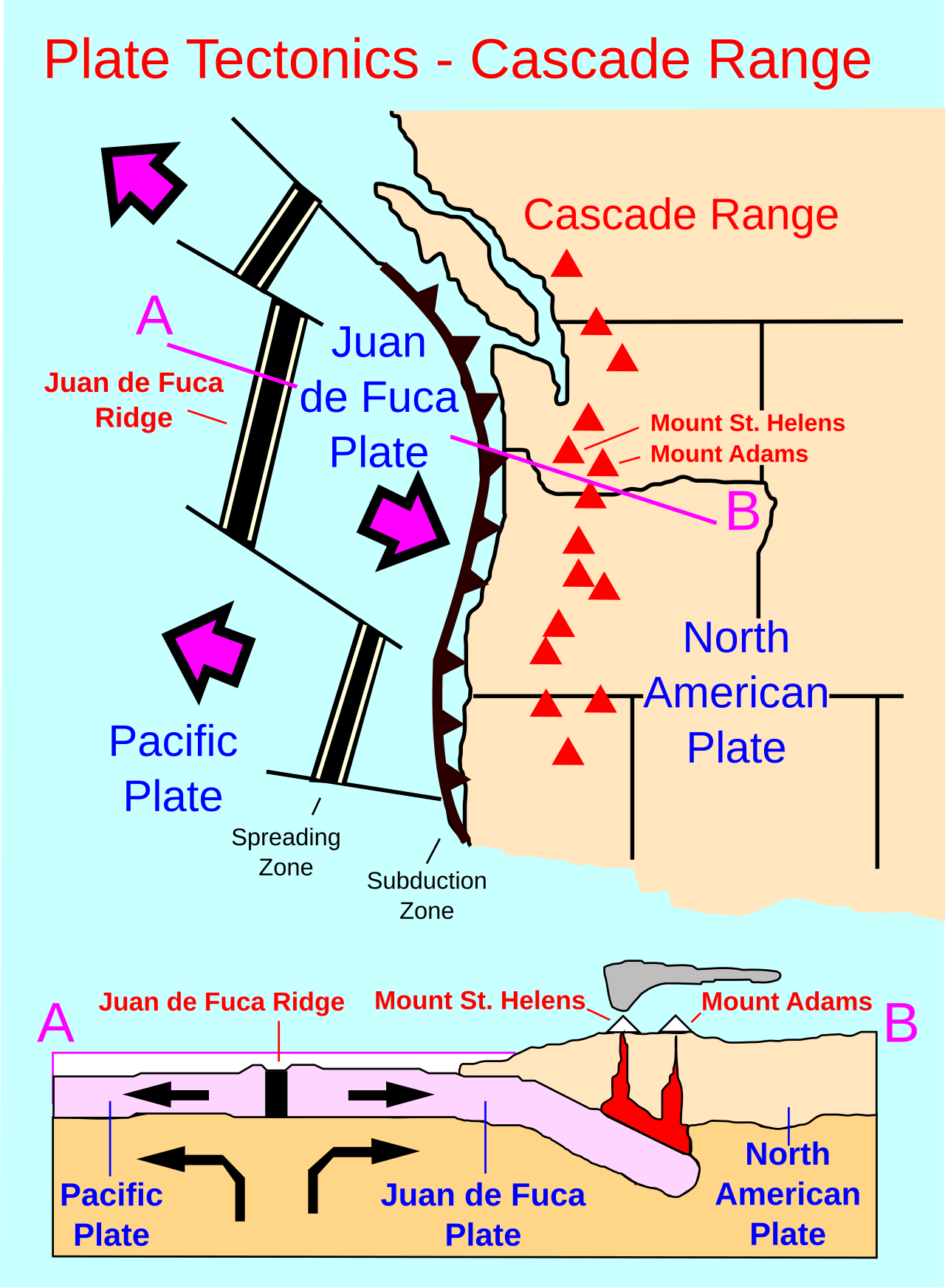 Plate tectonics