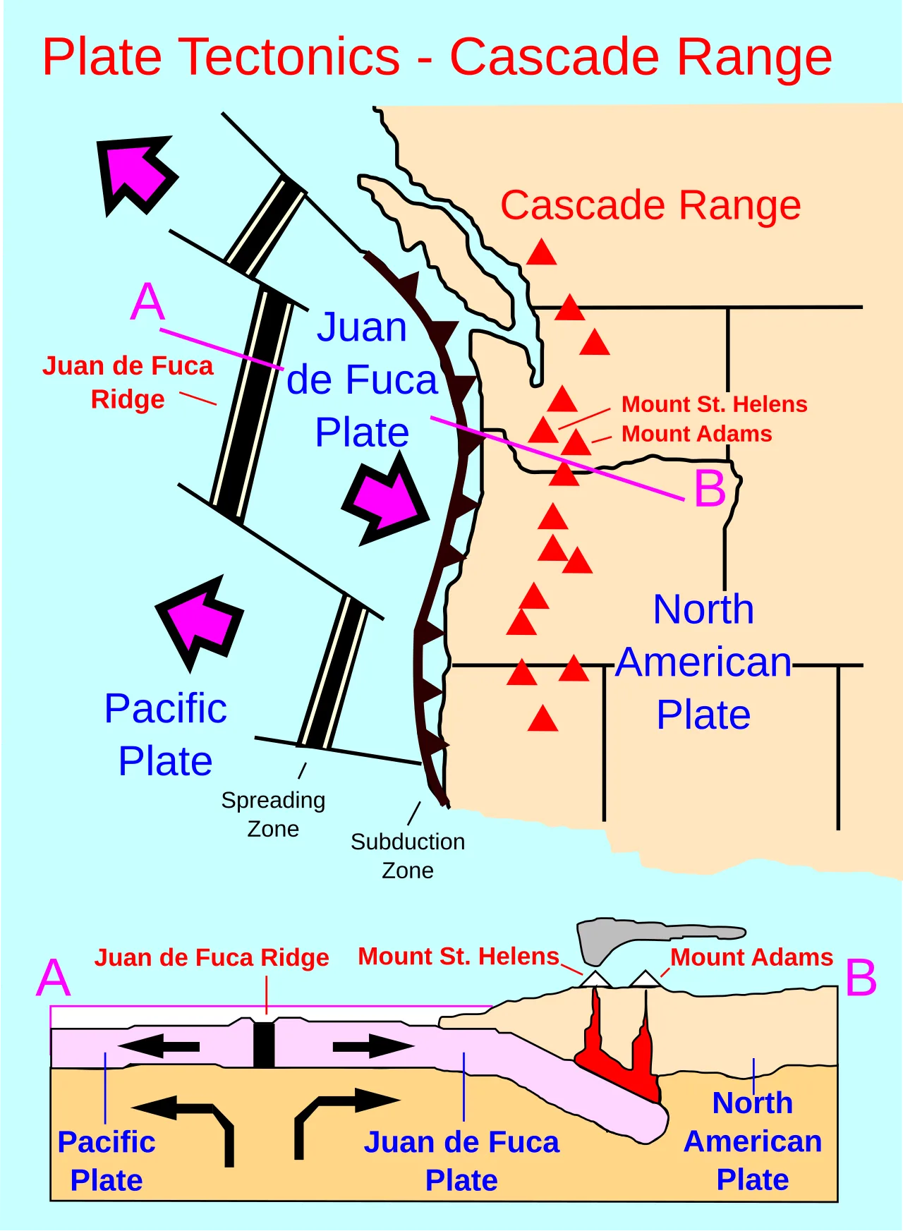 Plate tectonics