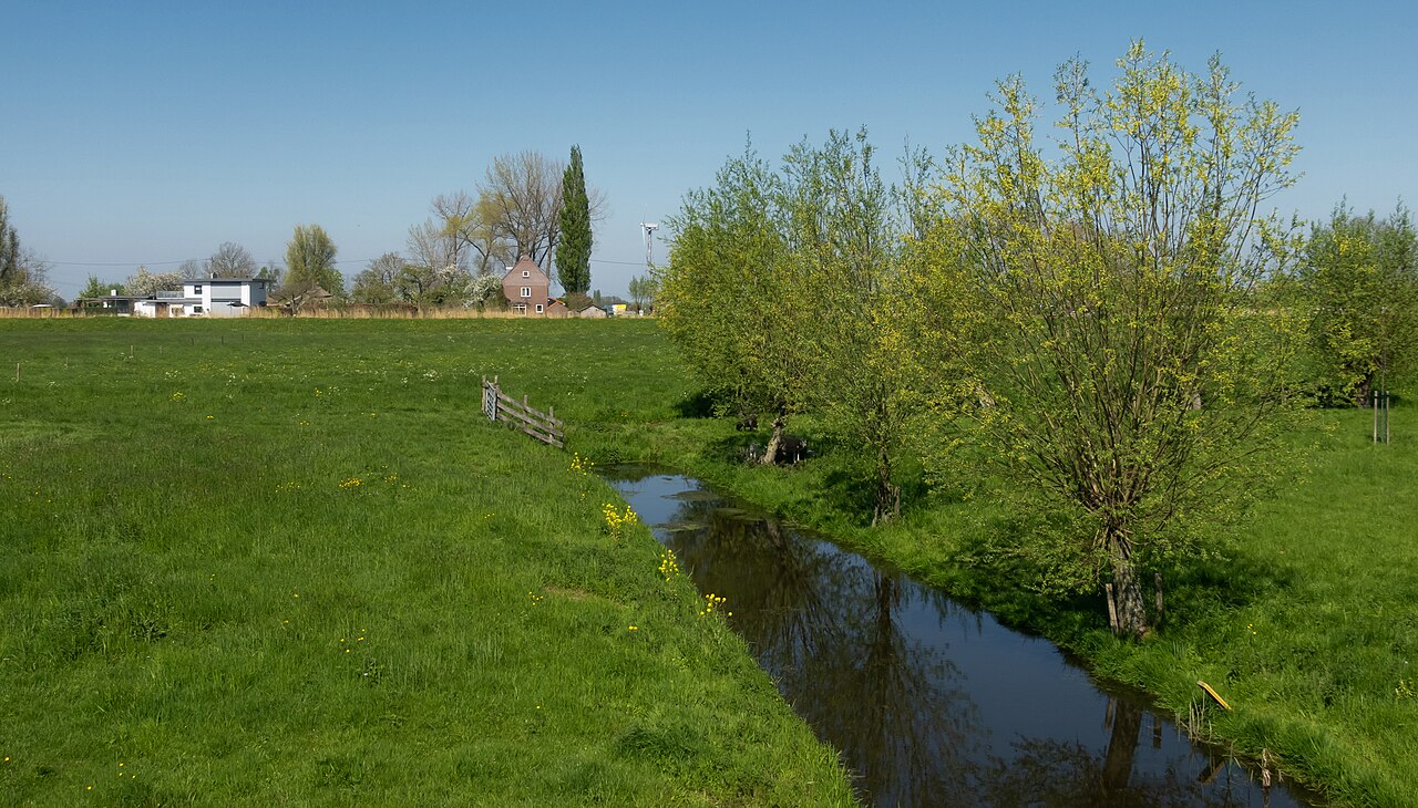 Polder