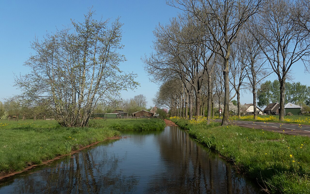 Polder