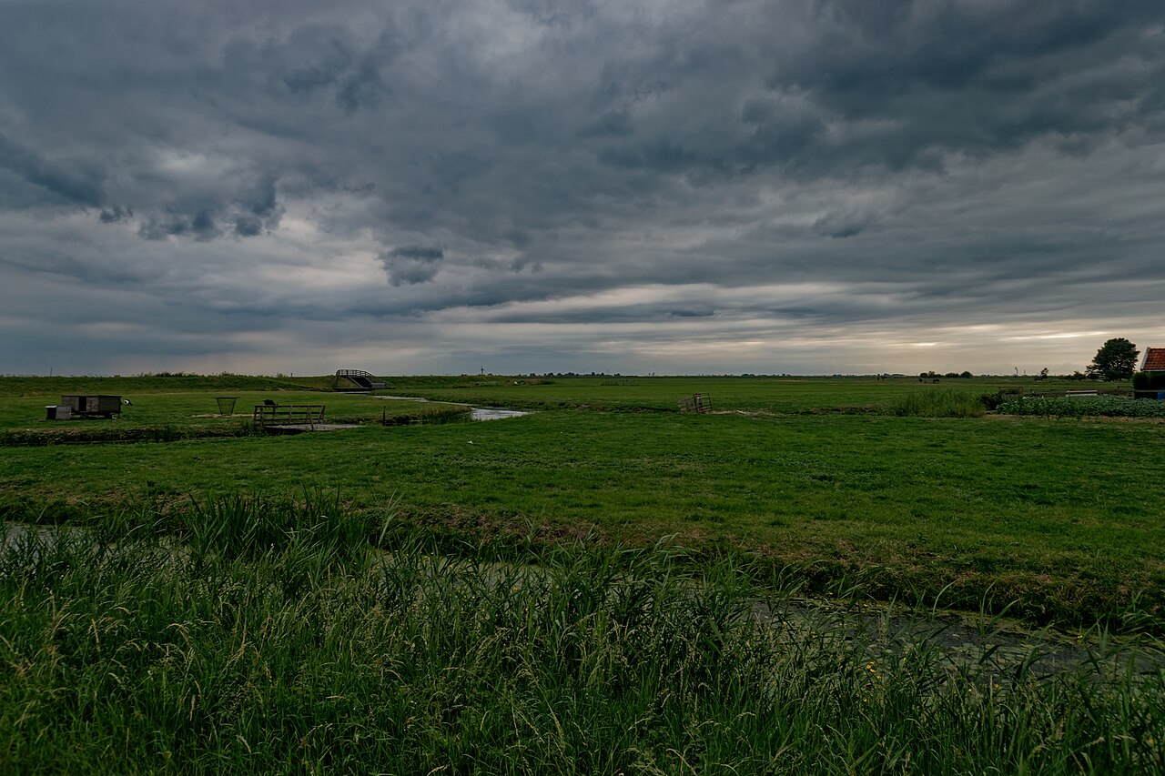 Polder