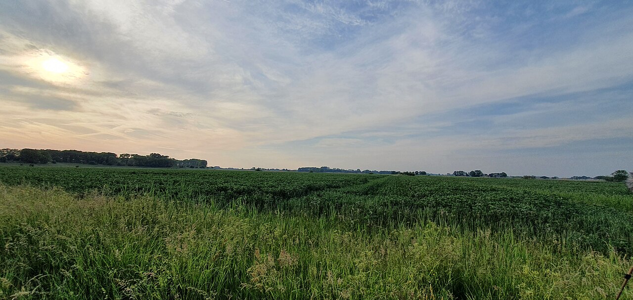 Polder