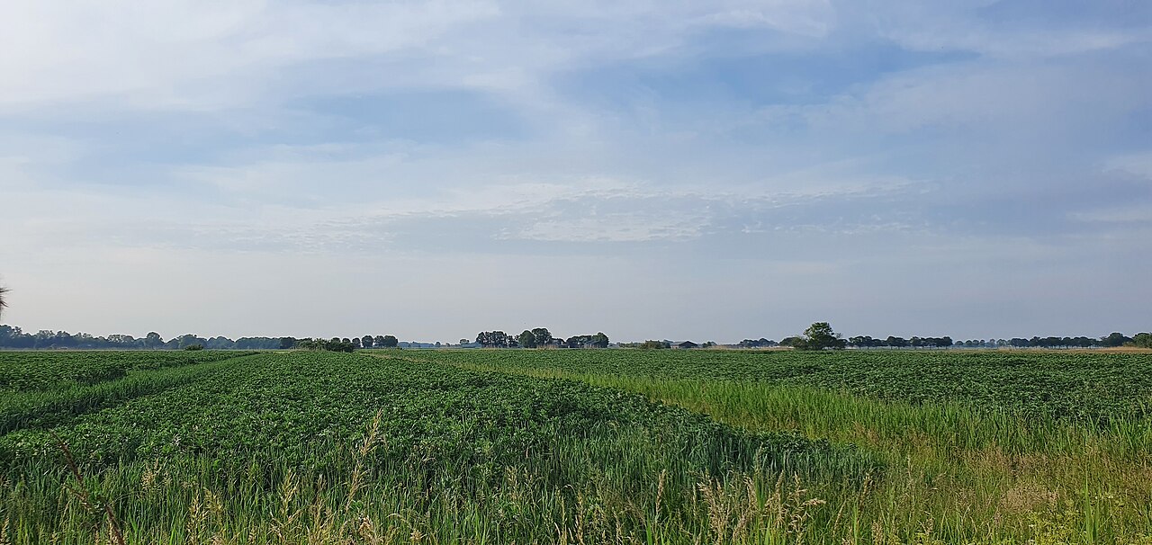 Polder