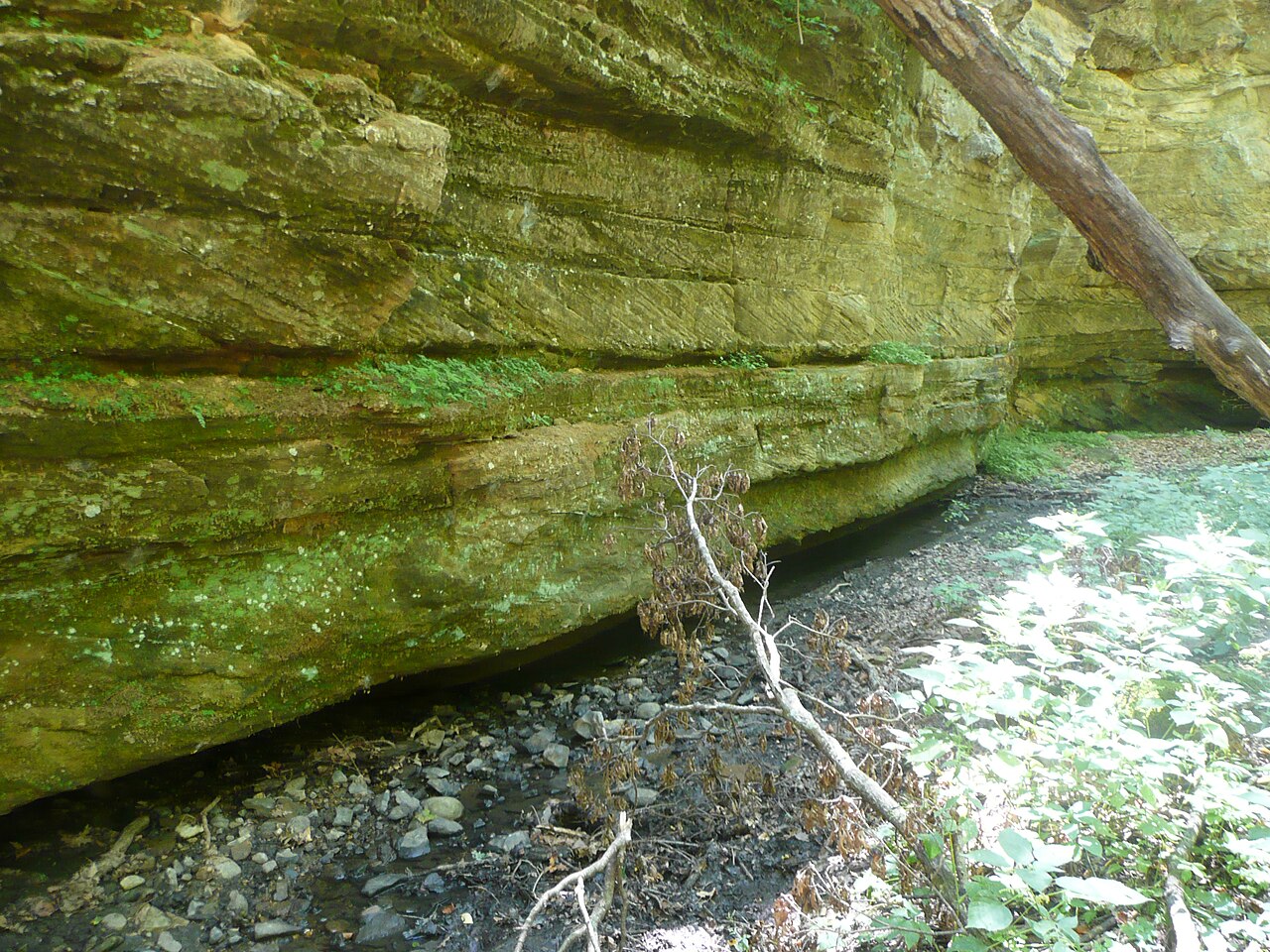 Sandstone