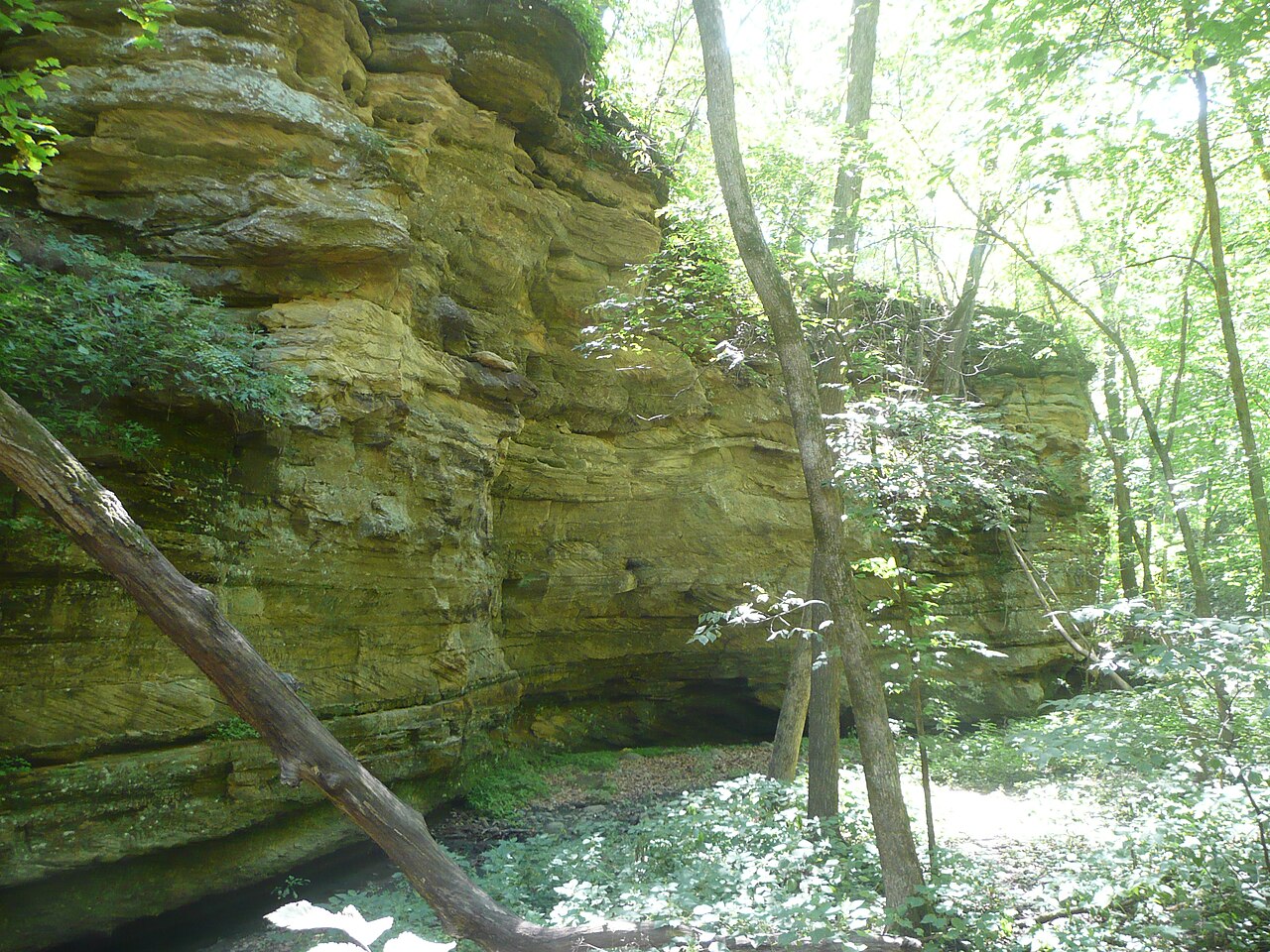 Sandstone